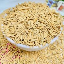 Basmati Rice Seeds